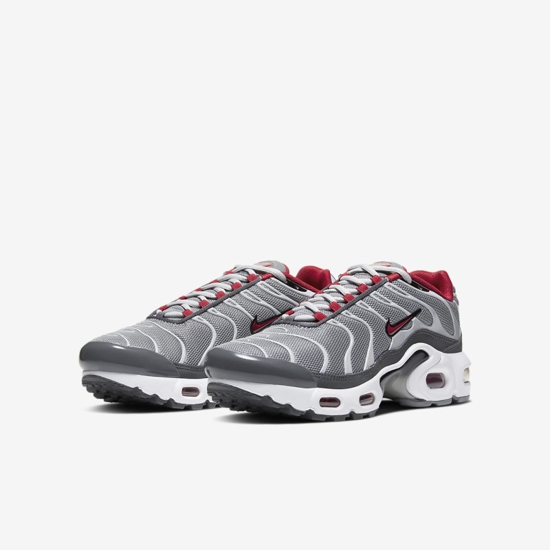 Nike Air Max Plus Sneakers Børn Grå | FM2162-146