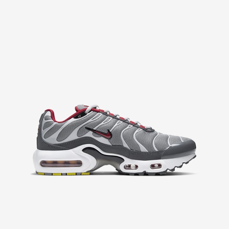 Nike Air Max Plus Sneakers Børn Grå | FM2162-146