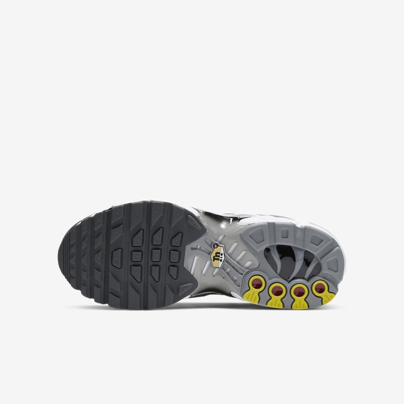 Nike Air Max Plus Sneakers Børn Grå | FM2162-146
