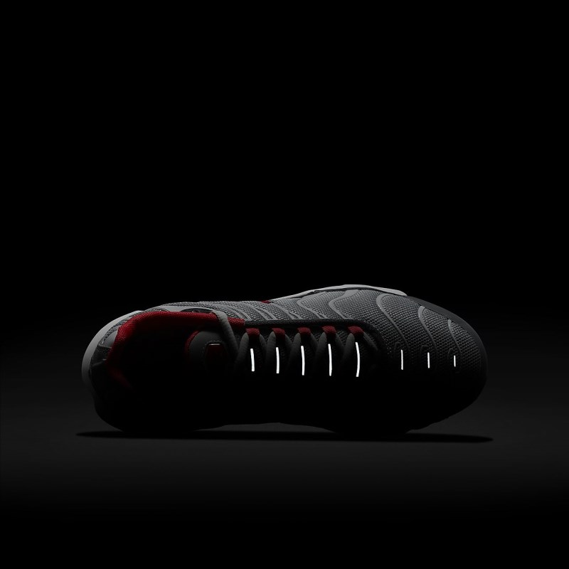 Nike Air Max Plus Sneakers Børn Grå | FM2162-146