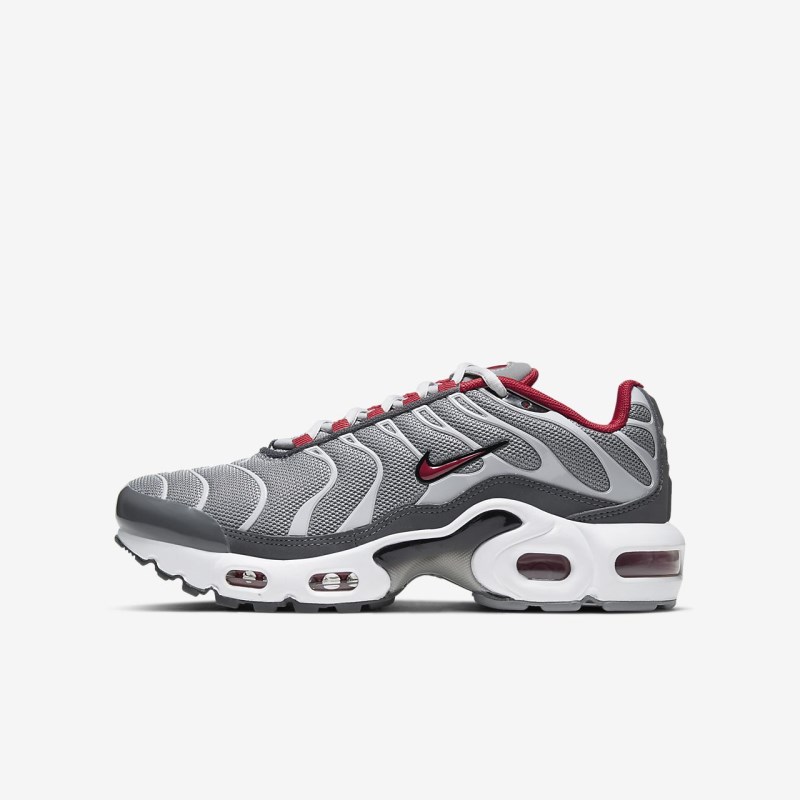 Nike Air Max Plus Sneakers Børn Grå | FM2162-146