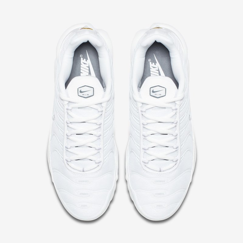 Nike Air Max Plus Sneakers Herre Hvide | EN9276-417