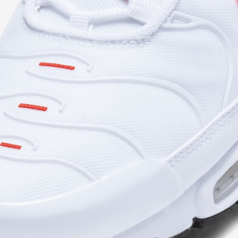 Nike Air Max Plus Sneakers Herre Hvide | TV5547-787