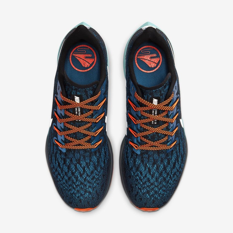 Nike Air Zoom Pegasus 36 Vandresko Dame Sort | EE6134-480
