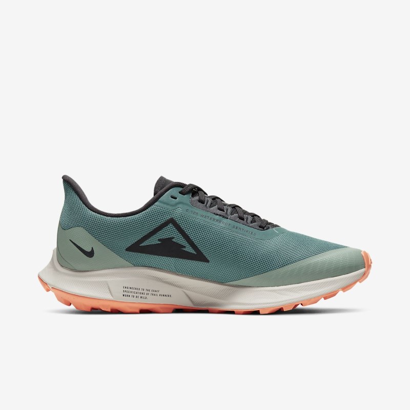 Nike Zoom Pegasus 36 Trail GORE-TEX Løbesko Dame Sølv | JU8566-650