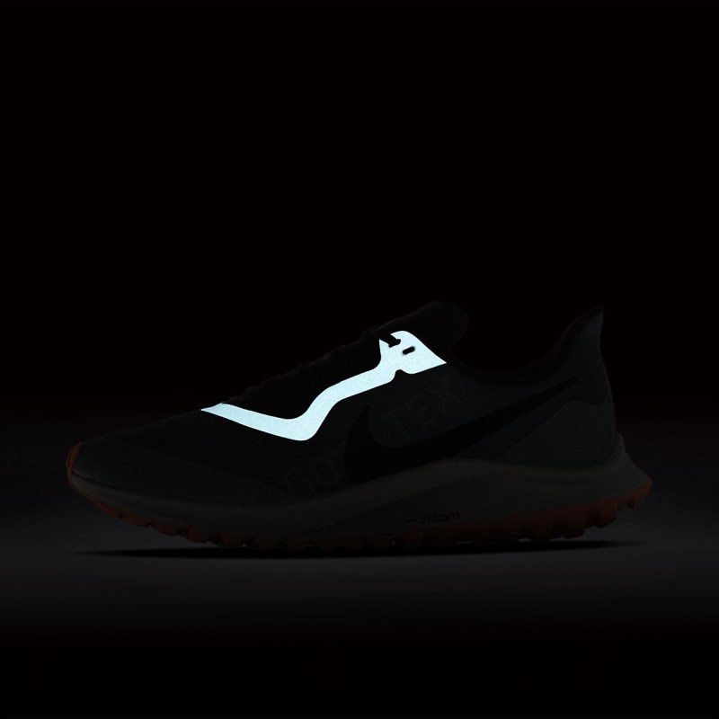 Nike Zoom Pegasus 36 Trail GORE-TEX Løbesko Dame Sølv | JU8566-650