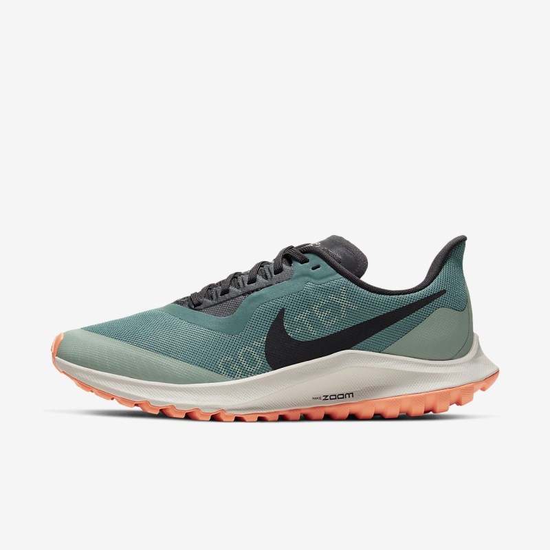 Nike Zoom Pegasus 36 Trail GORE-TEX Løbesko Dame Sølv | JU8566-650