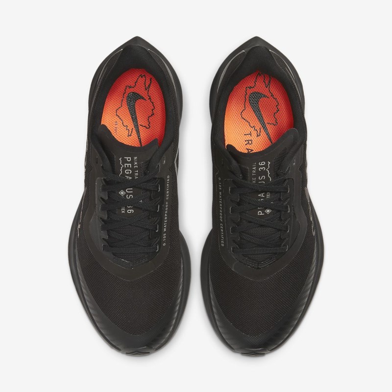 Nike Zoom Pegasus 36 Trail GORE-TEX Løbesko Dame Sort | XM9414-251